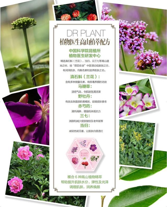 大健康品牌營銷策劃詮釋「植物醫(yī)生」業(yè)績逆增長10%之道2.jpeg
