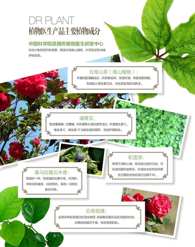 大健康品牌營銷策劃詮釋「植物醫(yī)生」業(yè)績逆增長10%之道3.jpeg